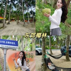 龙华茶园 User Photo