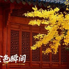 袁姐萝卜饺子(中山路店) User Photo