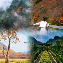 农家土菜老煨锅(木鱼镇店) 여행 사진