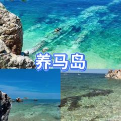 海岛日记(养马岛店) User Photo