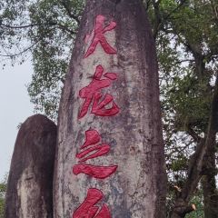 BU ZHAI GUANG TOU QUAN NIU User Photo