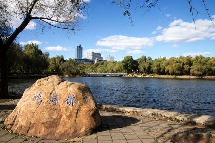 芥南餐厅·浮隐于世