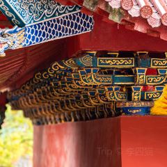 Luojishinianlaodiandingxiangjiangzhi User Photo