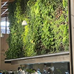 胡麻饭店 여행 사진