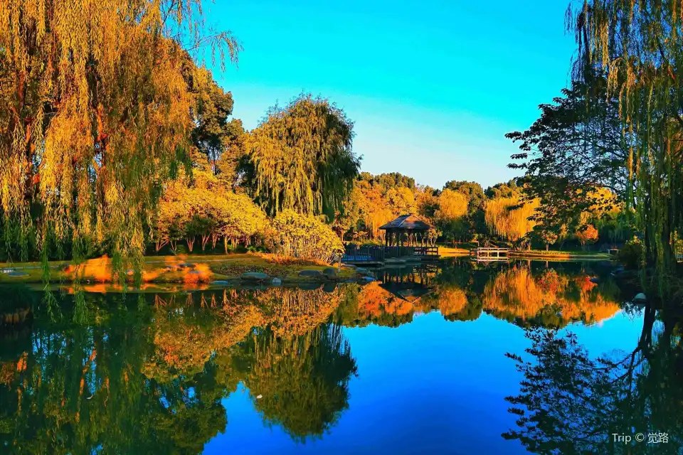 Anting Ancient Tree Park Tickets [2026] - Promos, Prices, Reviews ...