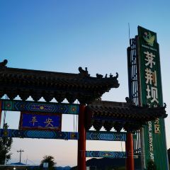 茅荆坝服务区 User Photo