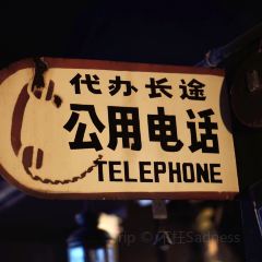 后院 여행 사진