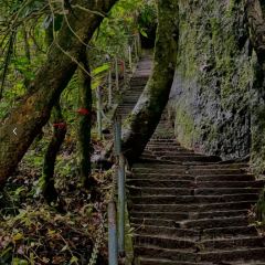 和坊茶楼 User Photo