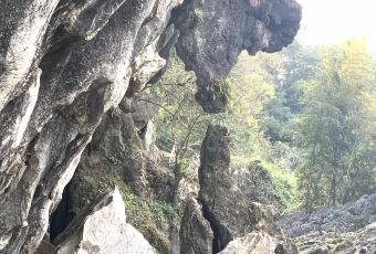 老永安粿条店(燕江中路店) User Photo