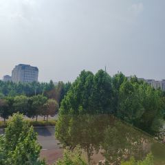 郑州航空港诺富特酒店·时宜全日餐厅 User Photo