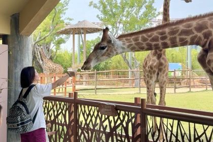 张家牛肉面馆(幸福路店)