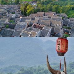 四哥柠檬茶 여행 사진