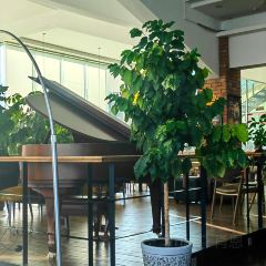 含旨咖啡(广场店) User Photo