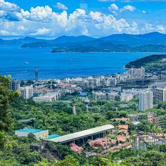 蜜悦·秘野仙踪半山森林餐厅 User Photo