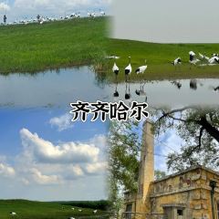 匯賓餐廳包子樓張用戶圖片