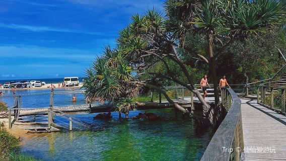 Hervey Bay