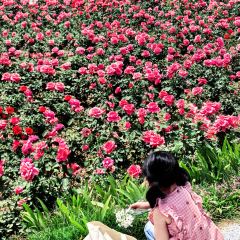 云间花境餐厅 User Photo
