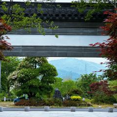 SOYA素晏咖啡(南山店) User Photo