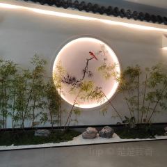 五畝地張用戶圖片