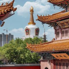 呼和浩特巨华国际大酒店·天穹旋转餐厅 User Photo