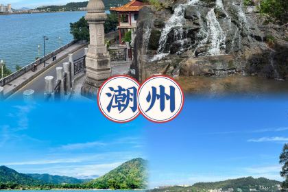 ZHENQIANJIE FERMENTED BEAN CURD CHICKEN WINGS