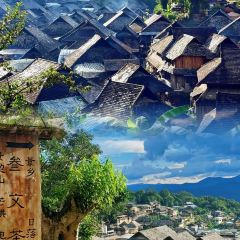 申记臭豆腐煮鱼(五一步行街店) User Photo