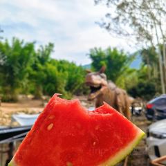 罗浮山天然谷(那里花开店) User Photo