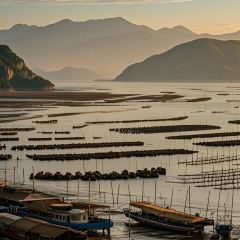 阿忠海鲜餐馆(新华北路店) User Photo