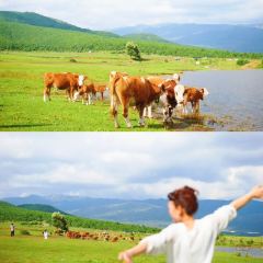 zhen箴尚美·心生态私房菜(玉湖村店) User Photo