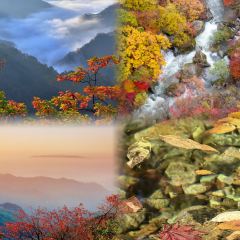 Number One User Photo