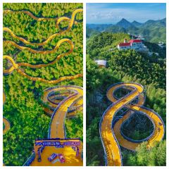 义远有机农场餐厅 User Photo