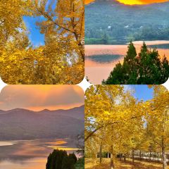 二嫂烧烤(共青团西路南六巷店) User Photo