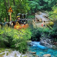 Number One User Photo