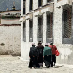 旬食·藏地时令定食(八廓街店) User Photo