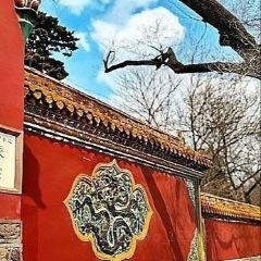 中街吊炉饼鸡蛋糕小吃部 User Photo