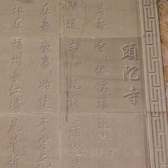 CUI JIANG User Photo