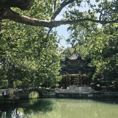 牛肉拐子饭(金源明珠店) User Photo