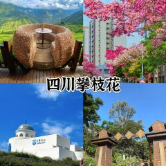 姚家烧烤 User Photo