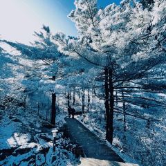 秀嫂挞粿 User Photo