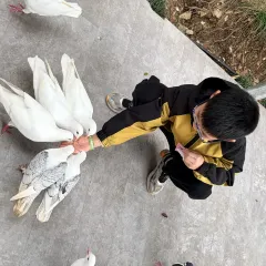 姚记面馆(瑶琳路店) 여행 사진