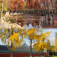 东升灌浆包(辛庄街总店) User Photo