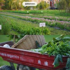 良壤有机庄园 User Photo