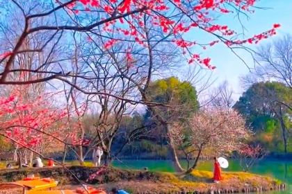 江南水乡