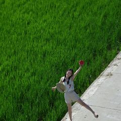 姐妹小吃(广场路店) 여행 사진