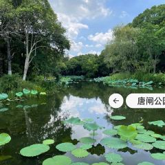 造咖啡(瑞德广场店) User Photo