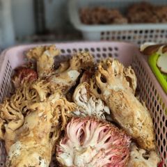 瓦珍野菜馆 여행 사진