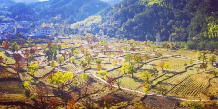 魚味館(九資河店)