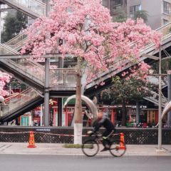 小康生活(碧水花城店) User Photo