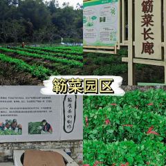 小新厨房(簕菜创意园店) User Photo