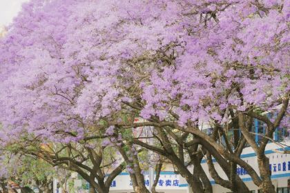 鐵哥妹特色燒烤